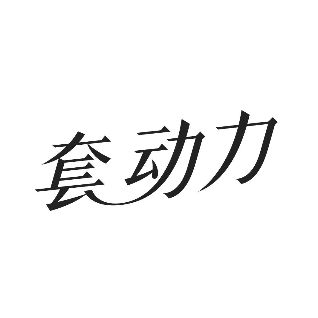 套动力商标转让