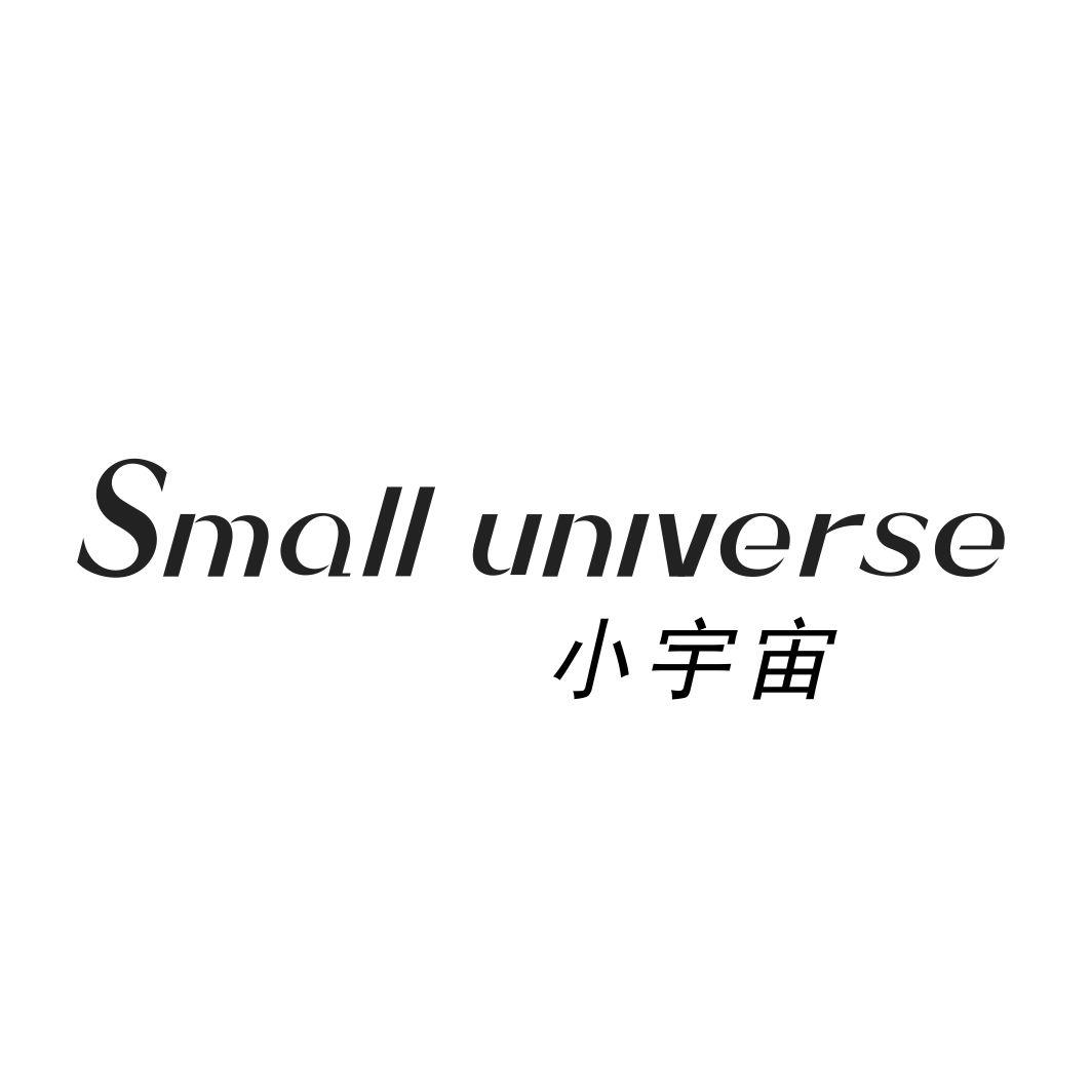 小宇宙 SMALL UNIVERSE商标转让