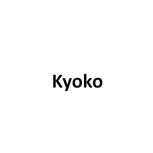 KYOKO商标转让