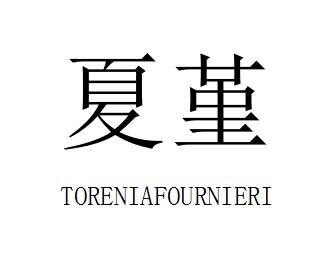 夏堇 TORENIAFOURNIERI商标转让