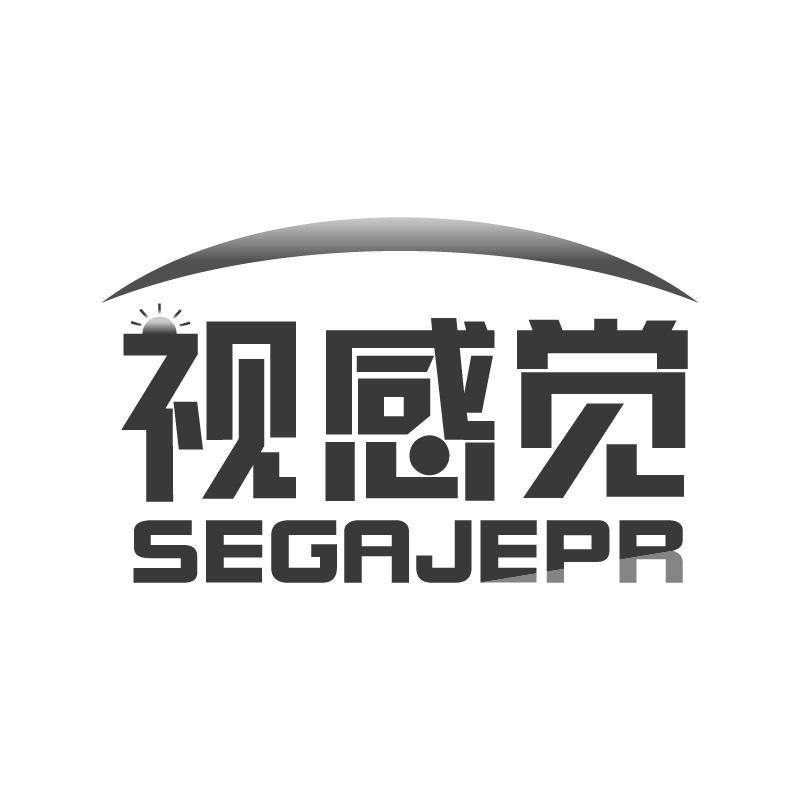 视感觉 SEGAJEPR商标转让