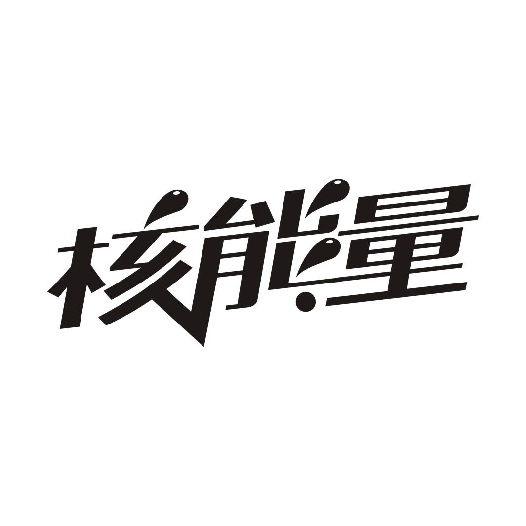核能量商标转让