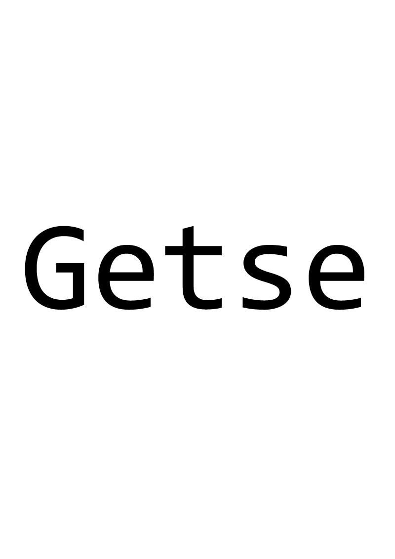 GETSE商标转让