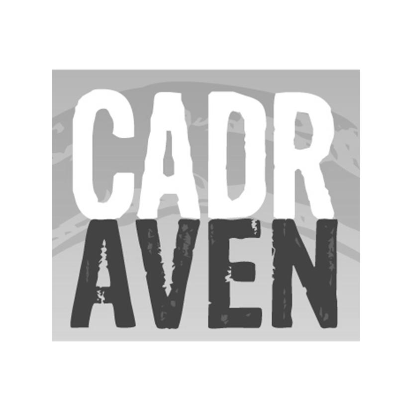 CADR AVEN商标转让