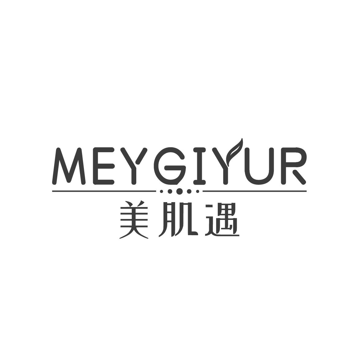 美肌遇 MEYGIYUR商标转让