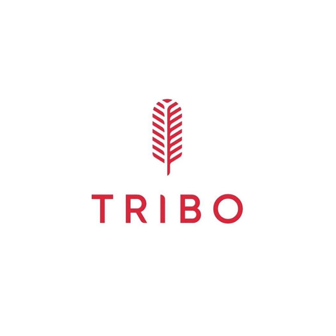 TRIBO商标转让