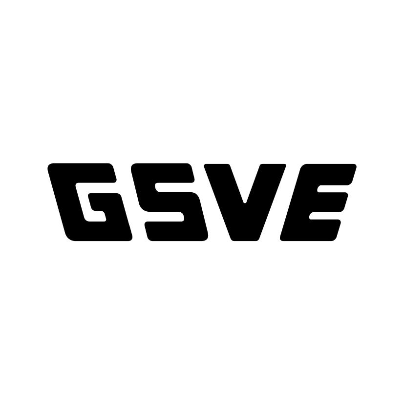 GSVE商标转让