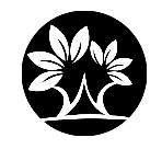 图形商标转让