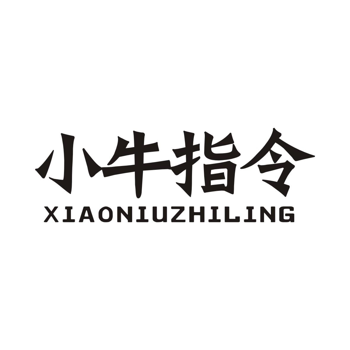 小牛指令商标转让