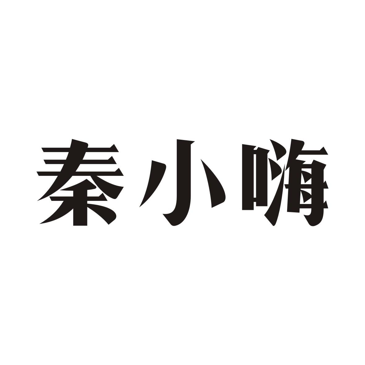 秦小嗨商标转让