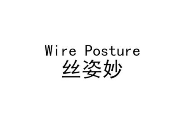 丝姿妙 WIRE POSTURE商标转让