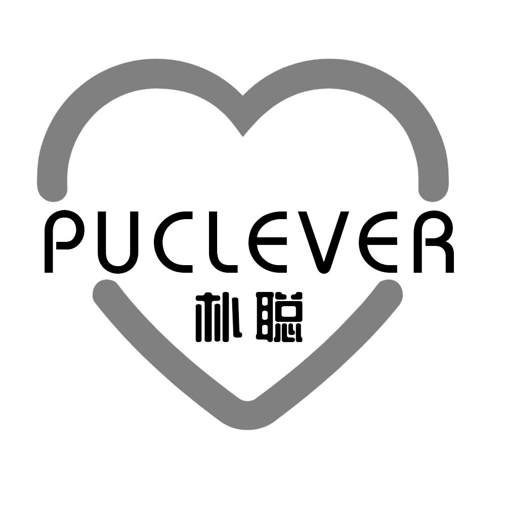 朴聪 PUCLEVER商标转让