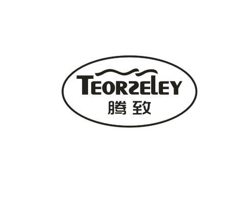 腾致 TEORZEIEY商标转让