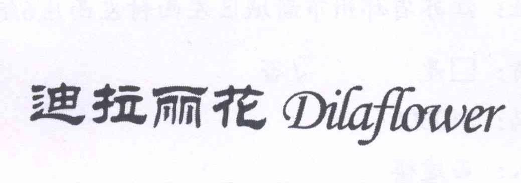 迪拉丽花 DILAFLOWER商标转让