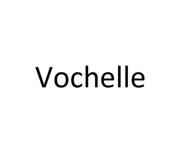 VOCHELLE商标转让