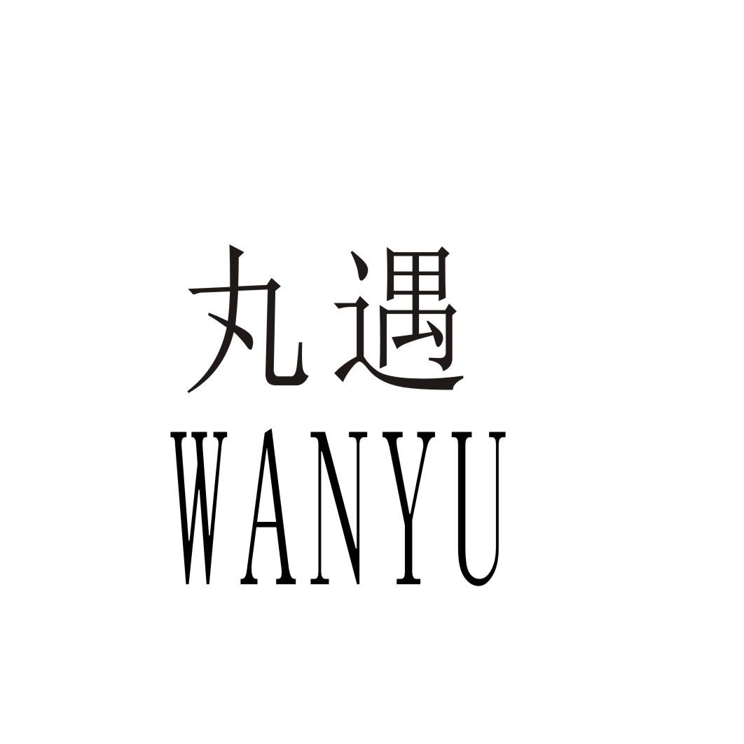 丸遇商标转让