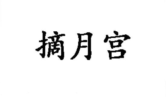 摘月宫商标转让