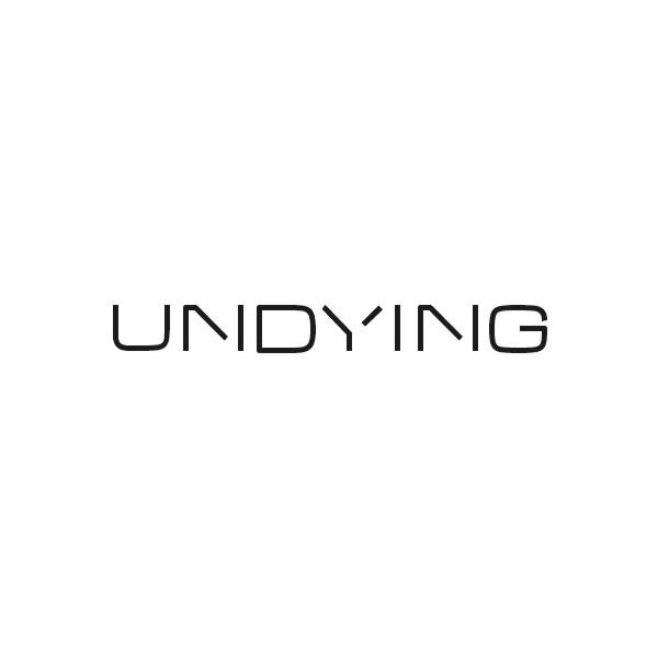 UNDYING商标转让