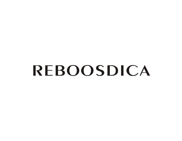 REBOOSDICA商标转让