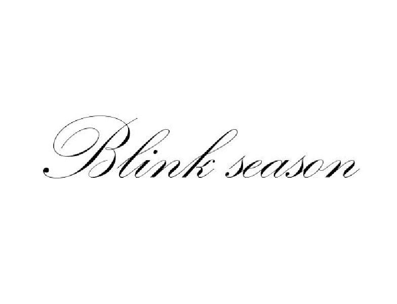 BLINK SEASON商标转让