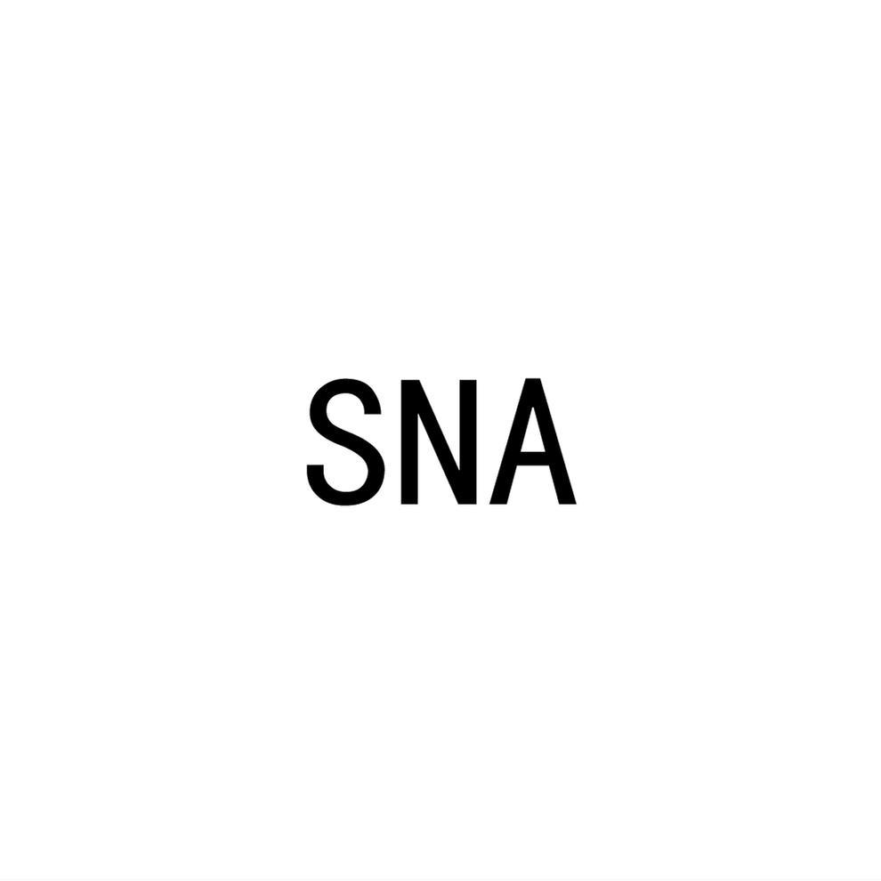SNA商标转让
