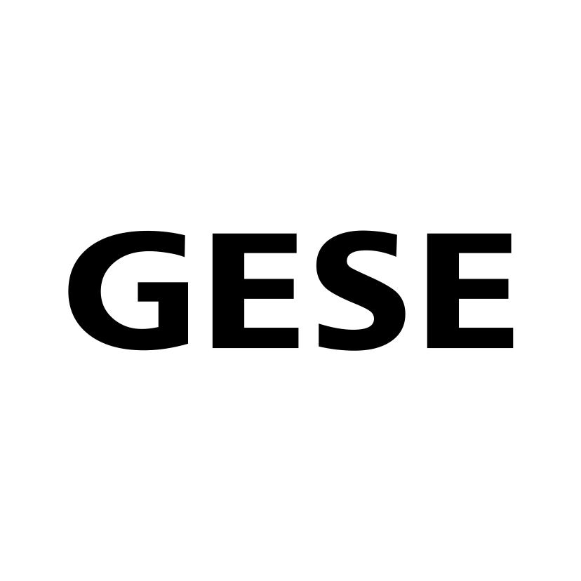 GESE商标转让