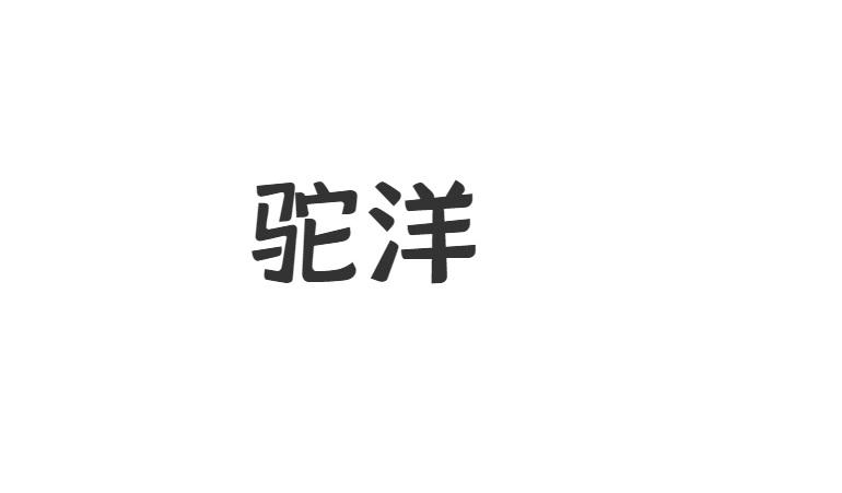 驼洋商标转让