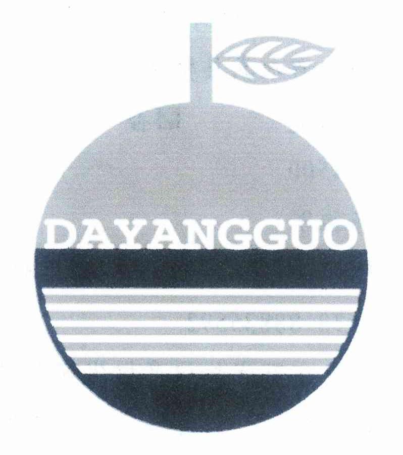 DAYANGGUO商标转让