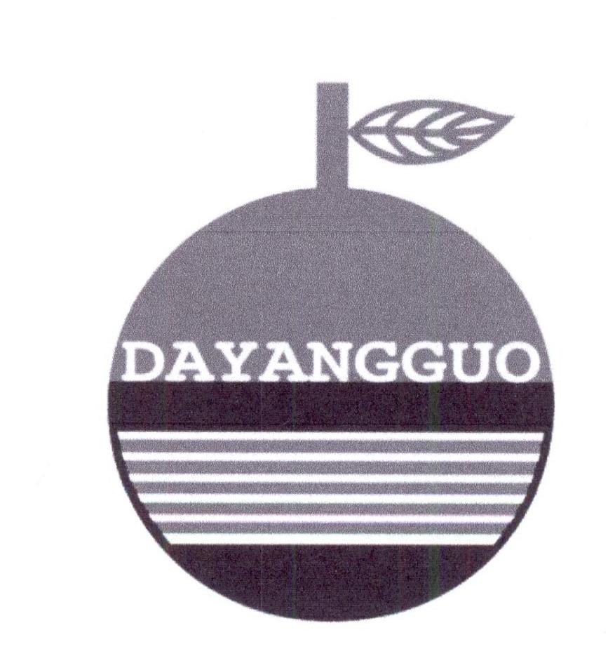 DAYANGGUO商标转让