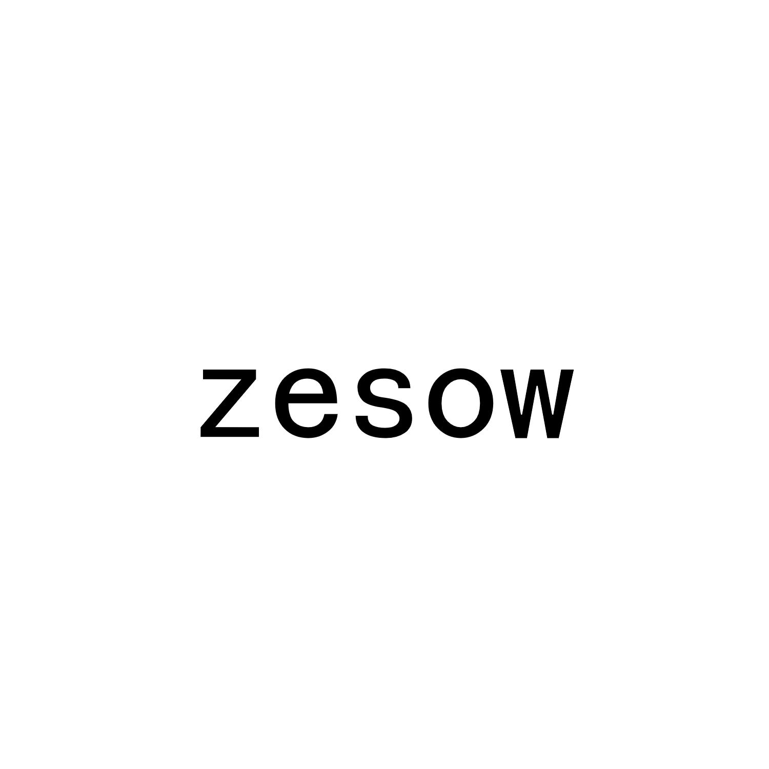 ZESOW商标转让