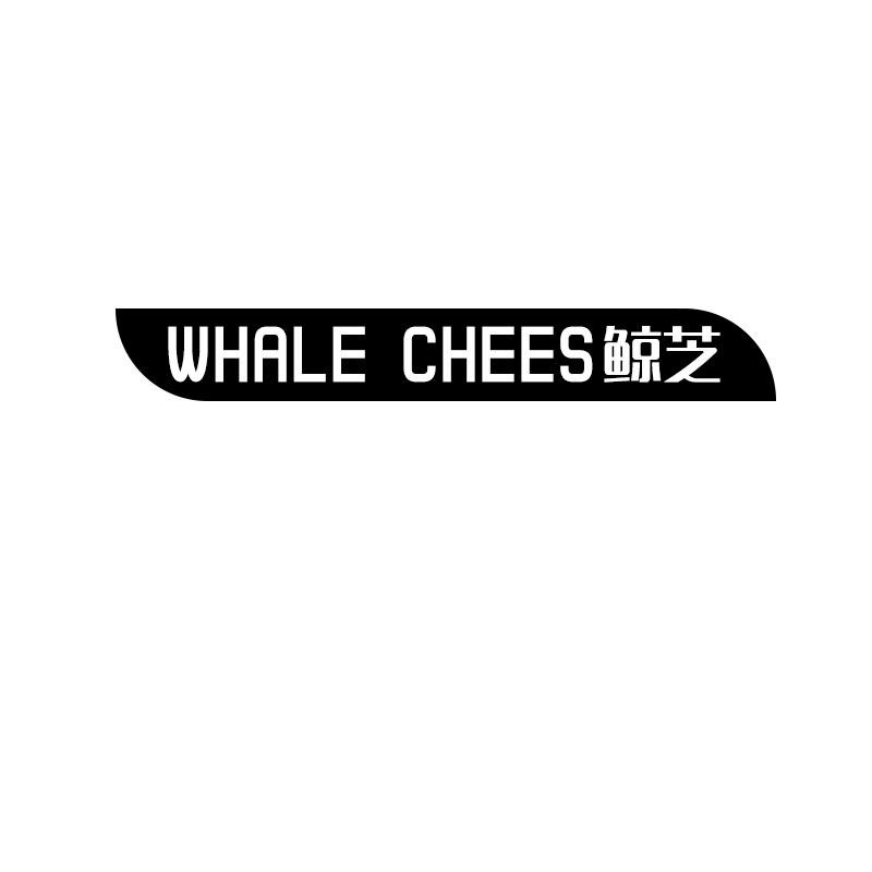 鲸芝 WHALE CHEES商标转让
