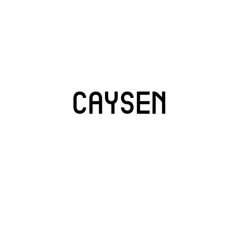 CAYSEN商标转让