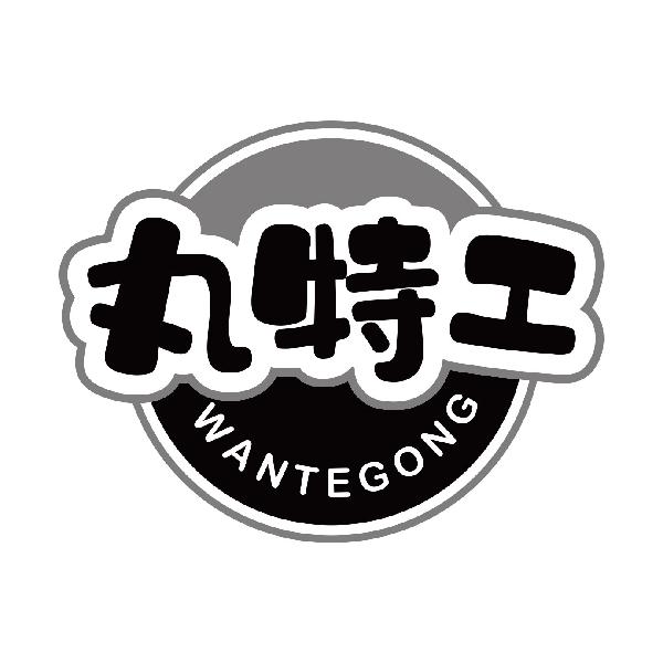 丸特工商标转让
