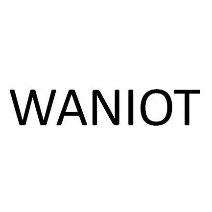 WANIOT商标转让