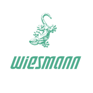 WIESMANN商标转让