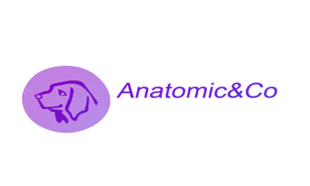 ANATOMIC&CO商标转让