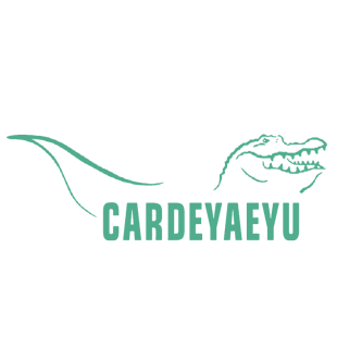 CARDEYAEYU商标转让