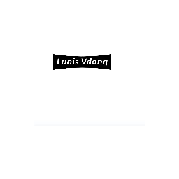 LUNIS VDANG商标转让